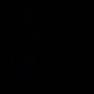 Meet your Posher, Logan